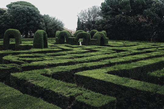 Vista de un jard&iacute;n bot&aacute;nico con laberinto y una estatua de mujer en su centro