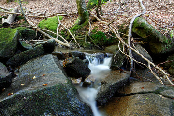 Mountain stream in autumn. Stream in the forest.