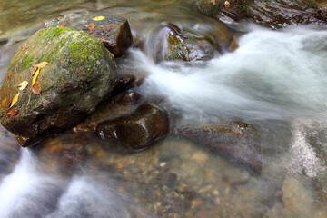 Obraz premium Mountain stream in autumn. Stream in the forest.