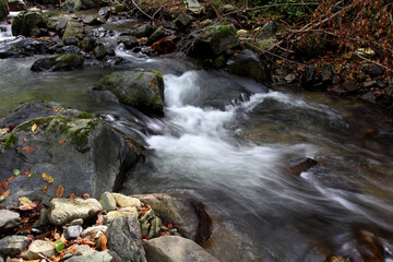 Mountain stream in autumn. Stream in the forest.