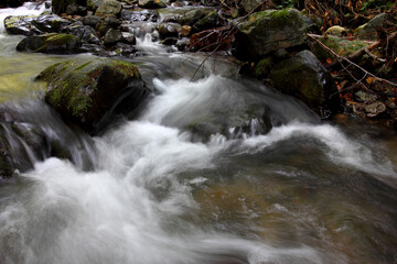 Mountain stream in autumn. Stream in the forest.