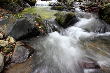 Mountain stream in autumn. Stream in the forest.