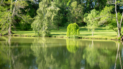 Magnificent lake surrounded by varied trees and lush green lawns in summer	