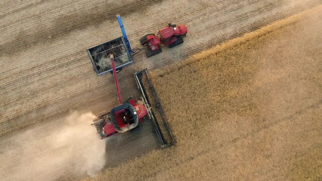 Perfect aerial shot of a combine harvester and chaser bin collecting ripe grains