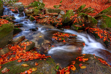 Mountain stream in autumn. Stream in the forest.