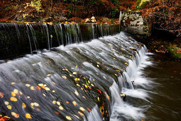Mountain stream in autumn. Stream in the forest.