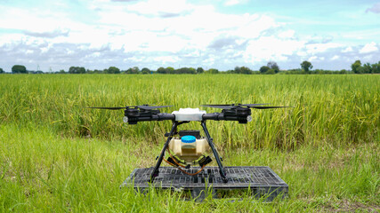 Naklejka na ściany i meble Agriculture drone fly to sprayed fertilizer