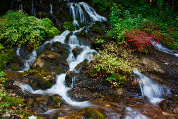 Fototapeta na wymiar Mountain stream in autumn. Stream in the forest.