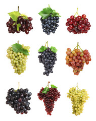 Set of fresh grapes on white background