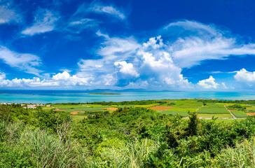 Fototapeta na wymiar 沖縄の離島の景色
