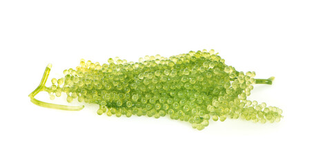 Sea grapes ( green caviar ) seaweed on white background..