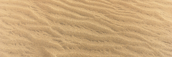 Fototapeta na wymiar Panoramic sandy background. Sand on the beach formed by wind