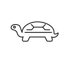 turtle icon element of vet icon for mobile concept and web apps. Thin line turtle icon can be used for web and mobile. Premium icon on white background