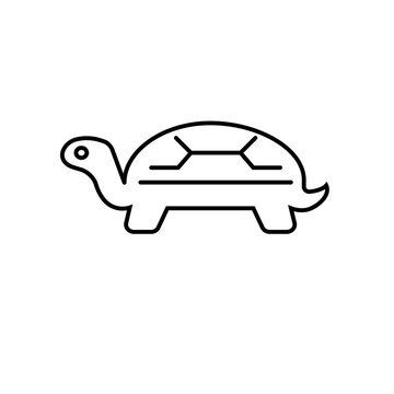 turtle icon element of vet icon for mobile concept and web apps. Thin line turtle icon can be used for web and mobile. Premium icon on white background