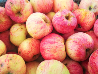 Ripe fresh apples in a basket. Autumn farm harvest.