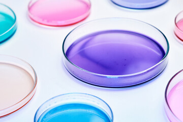 Colorful Petri dish with media in a microbiology laboratory. Chemical research with different liquids.