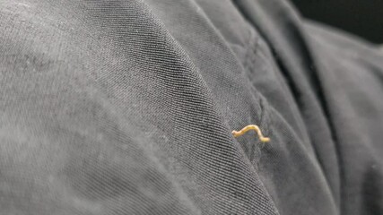 Close up of tiny caterpillar crawling across gray denim jeans