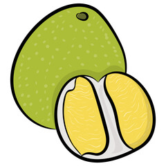 
Healthy fruit, apple drawn icon 
