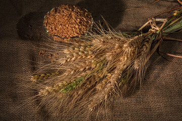 Wheat spike and wheat grains