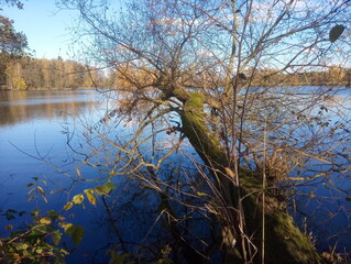 Obraz premium landschaft