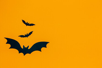 Halloween background ,bat with copy space on orange background