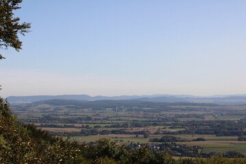 a view from the forest onto an agricultural landscape with wind turbines