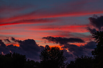 Beautiful Sunset in the Summer