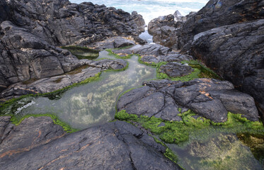 Rock Pools at Pendeen Cornwall
