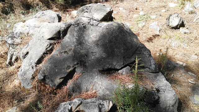 Stones with moss in the mountains of Andalucia