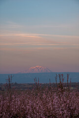 Sunrising on Mt Adams, WA