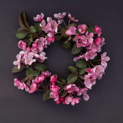 Spring flower background border wreath. Beautiful pink blossoming apple tree branch on black background. Copy space for message or product. Valentine's day or Mother's day theme.
