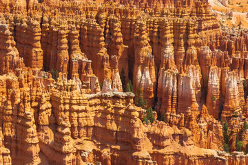 Scenic view of stunning red sandstone and hoodoos in Bryce Canyon National Park - UT, USA