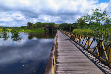 Fototapeta premium Bridge over the Timeantube River; entrance to the park Klaus Peter in the Praia do Forte. Mata de São João; Bahia; Brazil.