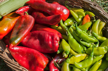 Fresh red raw peppers and green chilli peppers closeup as food background