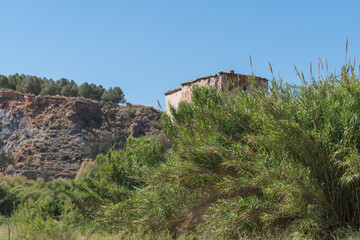 Fototapeta na wymiar abundant vegetation next to an abandoned and ruined farmhouse