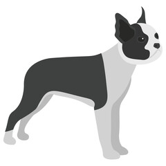 
Beagle, a dog breed of small hound
