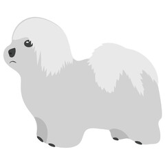 
Beagle, a dog breed of small hound
