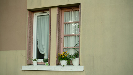 Window edge of a house and its flowering plants	