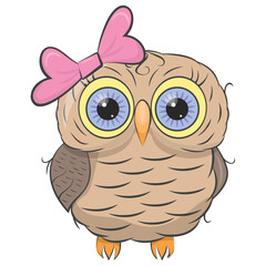 
Isolated icon design of an owl cartoon

