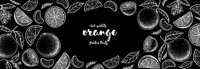Orange hand drawn vector illustration. Orange sketch for design. Black and white style. Citrus orange pattern illustration. Orange packaging design.