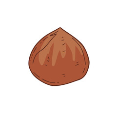Vector nut icon on isolated background. Type of nut - hazelnut. Hand drawn heathy snack.