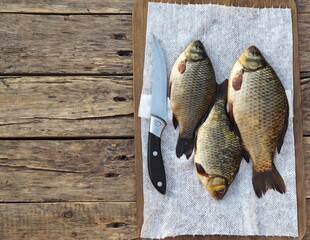 Freshly caught golden carp on a kitchen cutting board is ready to be scaled.Russian river fish.