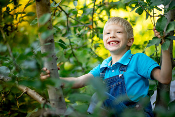 a five-year-old boy is sitting on a tree in a garden with Apple trees