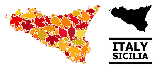Obraz premium Mosaic autumn leaves and usual map of Sicilia Island. Vector map of Sicilia Island is formed of randomized autumn maple and oak leaves. Abstract territory plan in bright gold, red,