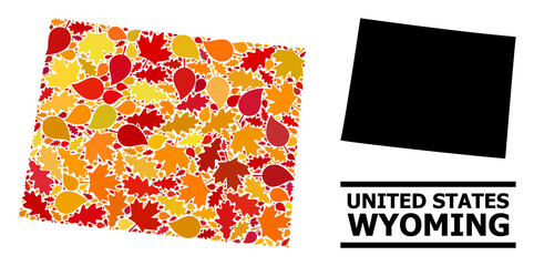 Mosaic autumn leaves and solid map of Wyoming State. Vector map of Wyoming State is composed from scattered autumn maple and oak leaves. Abstract territory plan in bright gold, red,