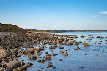 stones on the beach
