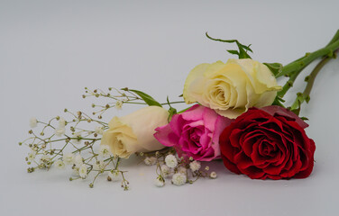 White, Pink and Red Roses with Baby's breath.