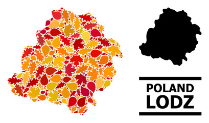 Mosaic autumn leaves and usual map of Lodz Province. Vector map of Lodz Province is composed of scattered autumn maple and oak leaves. Abstract territorial scheme in bright gold, red,