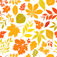 Fototapeta premium Autumn leaves stylish background. Fall seamless pattern with hand drawn leaves. Seasonal nature backdrop
