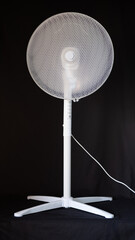 
White fan on black background